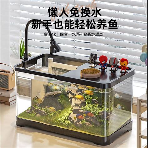 玄關放魚缸|【玄關養魚】玄關養魚招財避煞！6大禁忌＋3大擺放秘訣